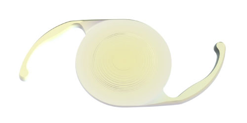 パンオプティクス　プロ